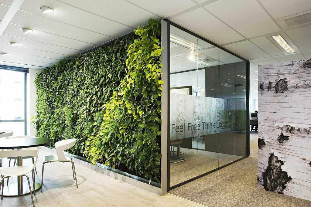 A green wall in an office with a table and chairs
