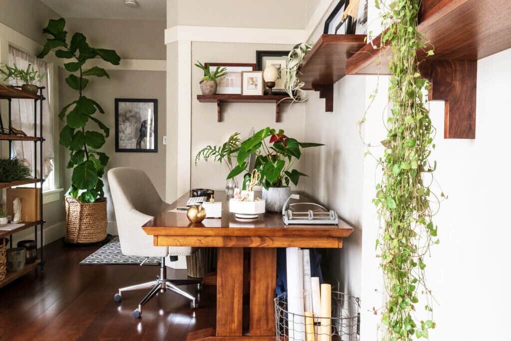 A home office with a desk, bookshelf and plants
