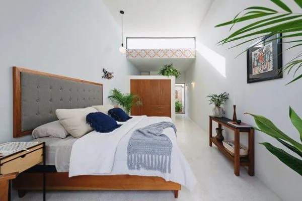 Casa Picasso  bedroom with a bed and a plant in the corner
