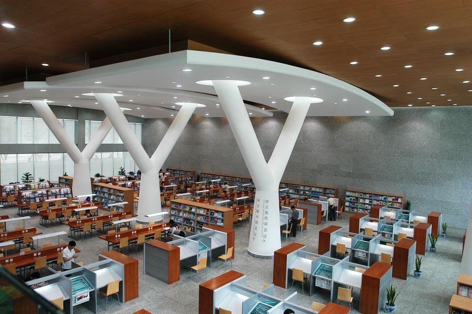  Modern School and Universities