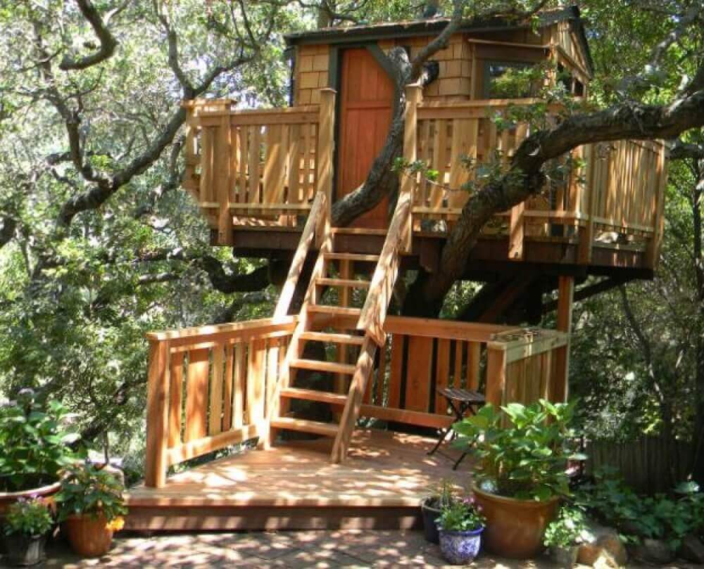 tree house designs