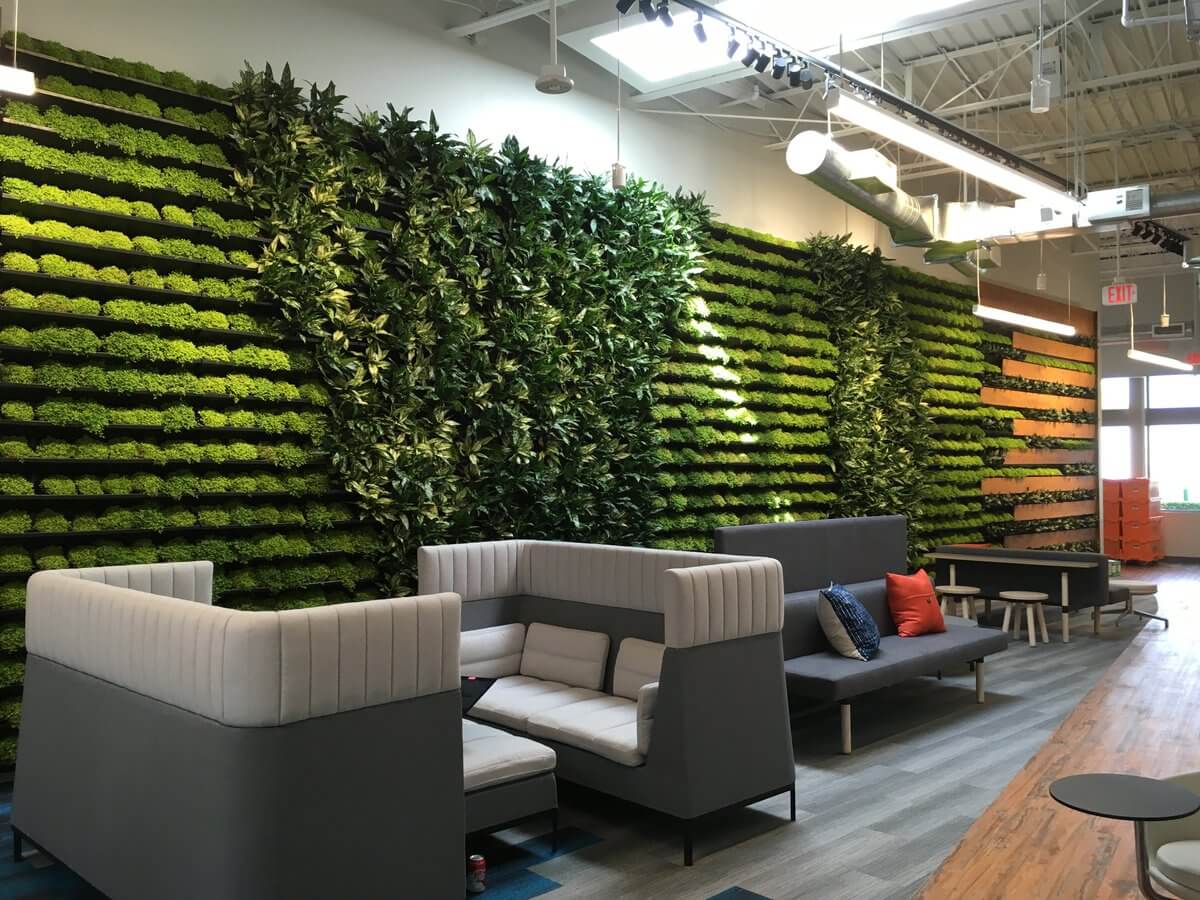 office wall design: Green Walls