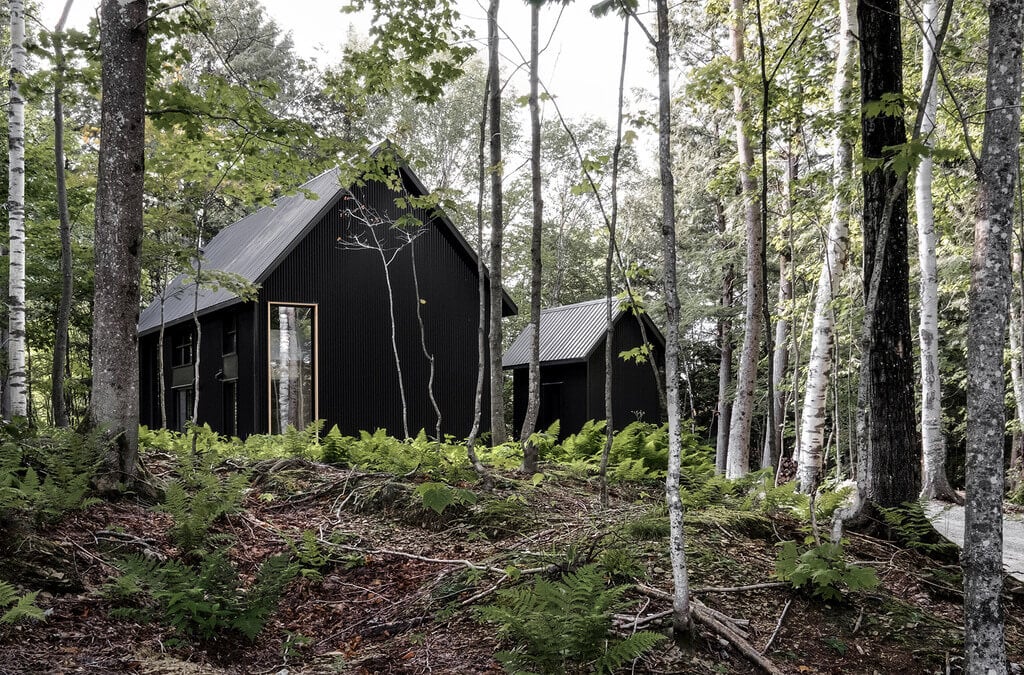 A black cabin in the woods surrounded by trees
