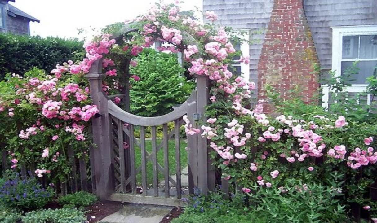 A wooden gate surrounded by pink flowers next to a house
