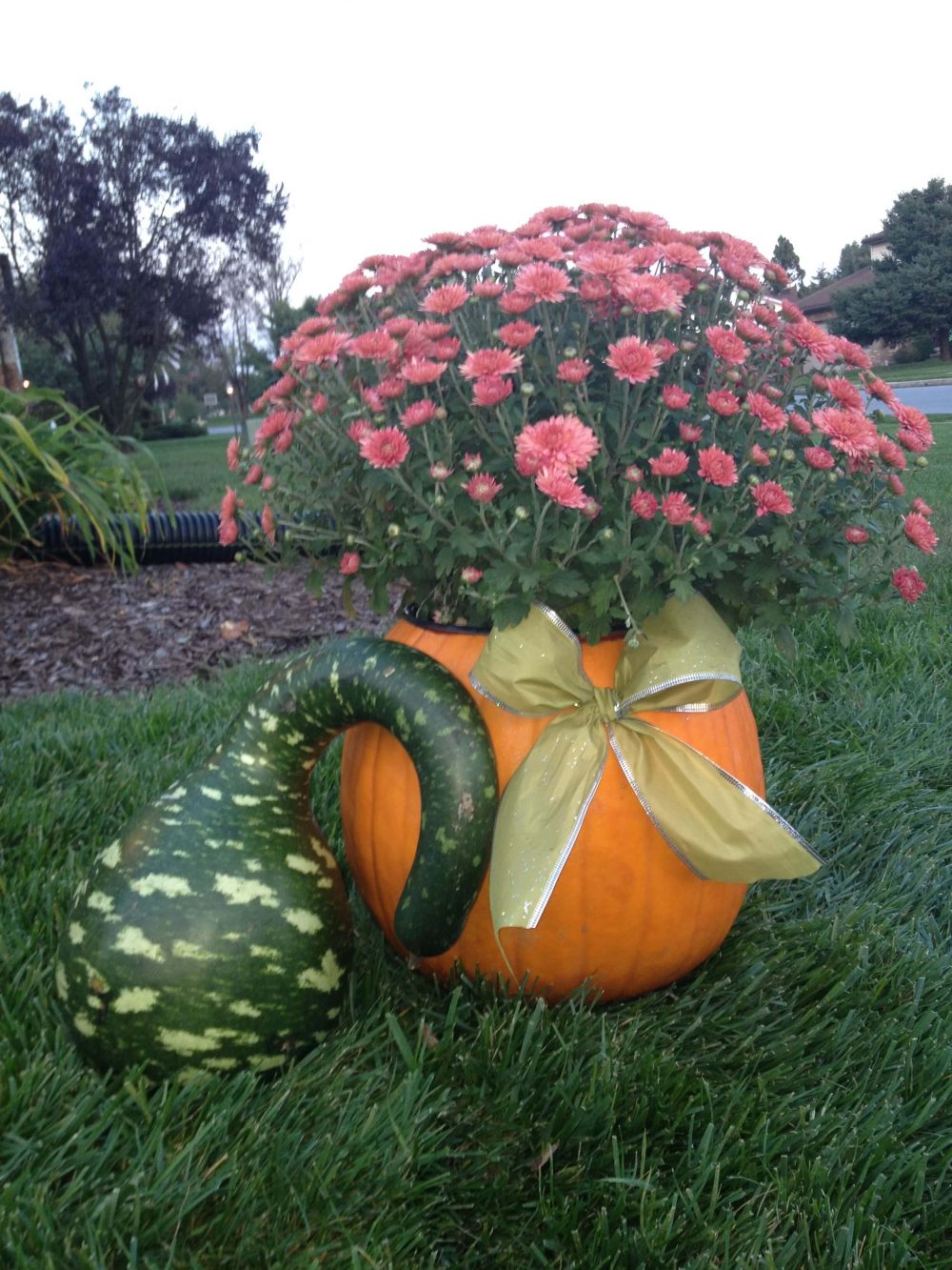 DIY pumpkin decor concepts