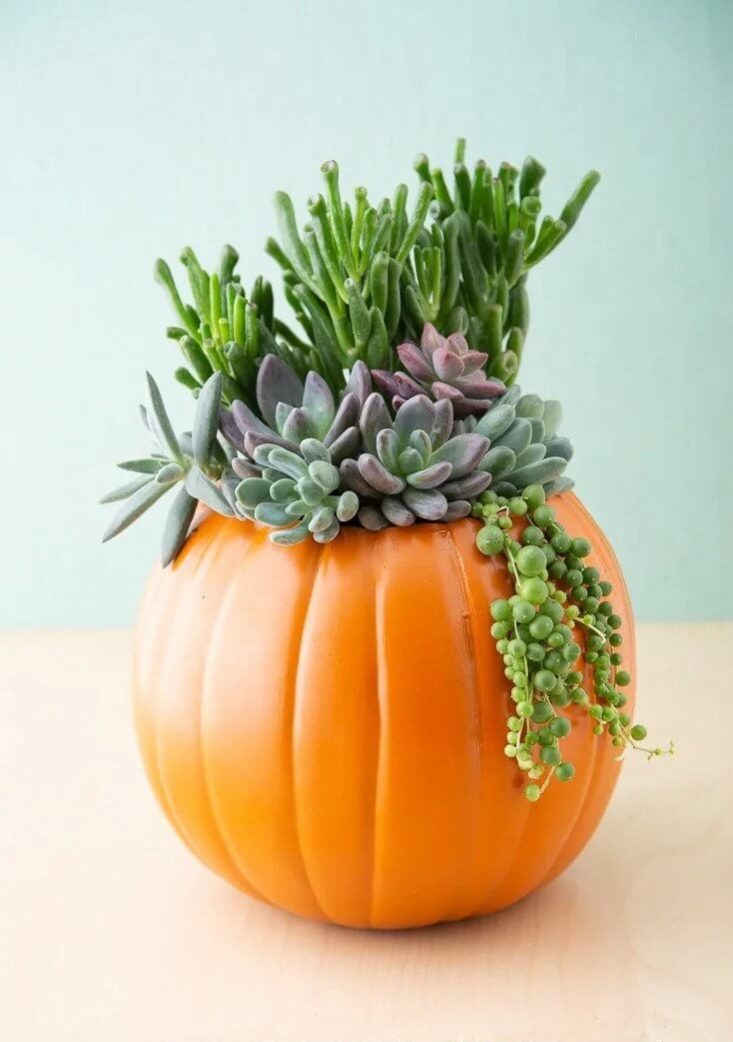 Pumpkin embellishment suggestions
