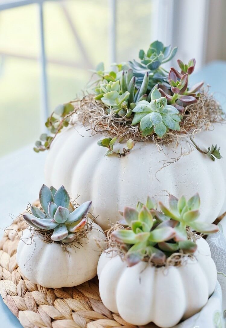 Whimsical gourd decoration suggestions
