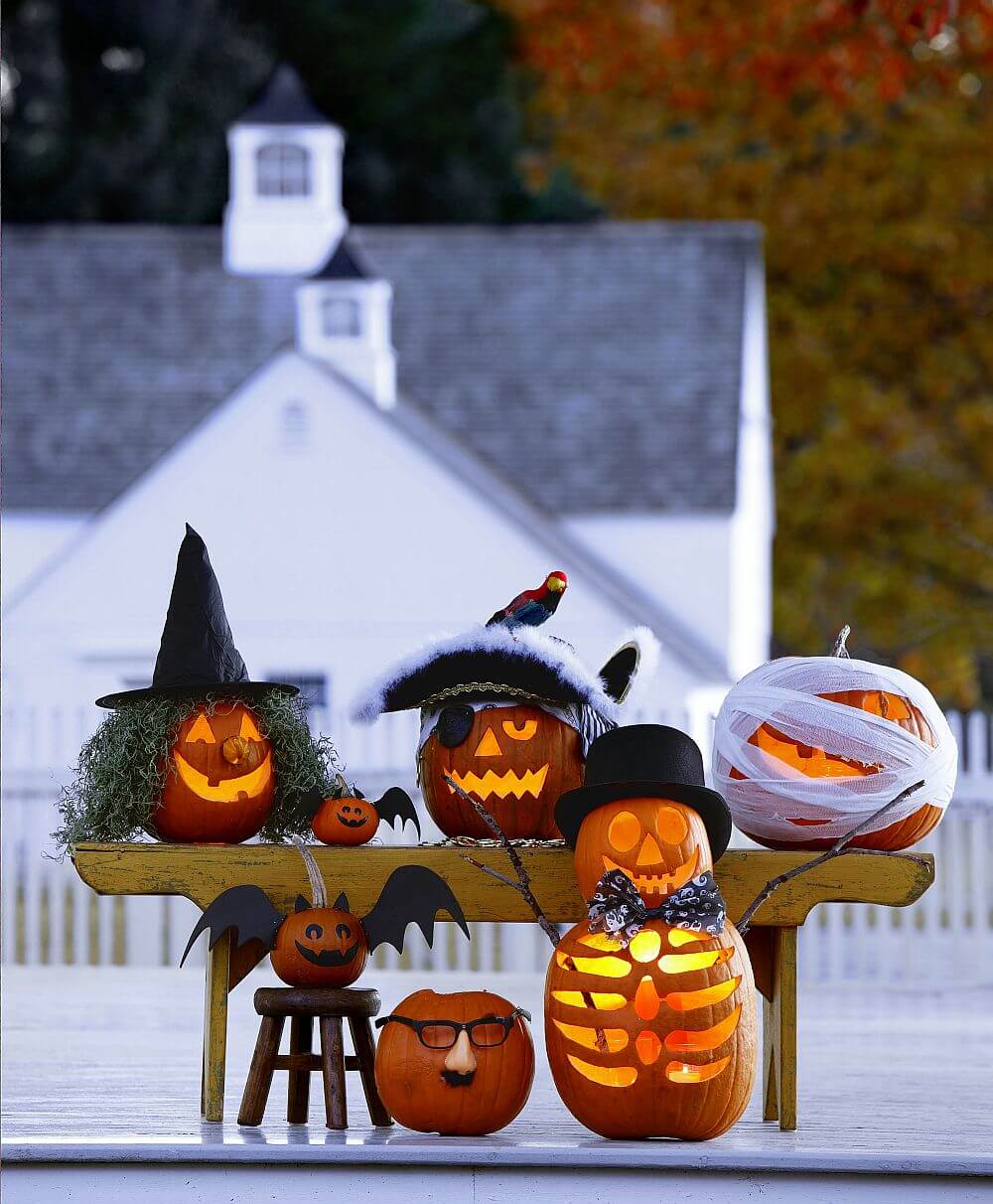 Harvest pumpkin design ideas
