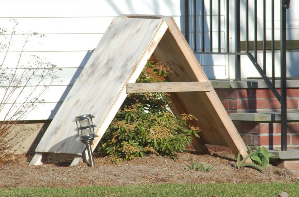 Shrub Shelters