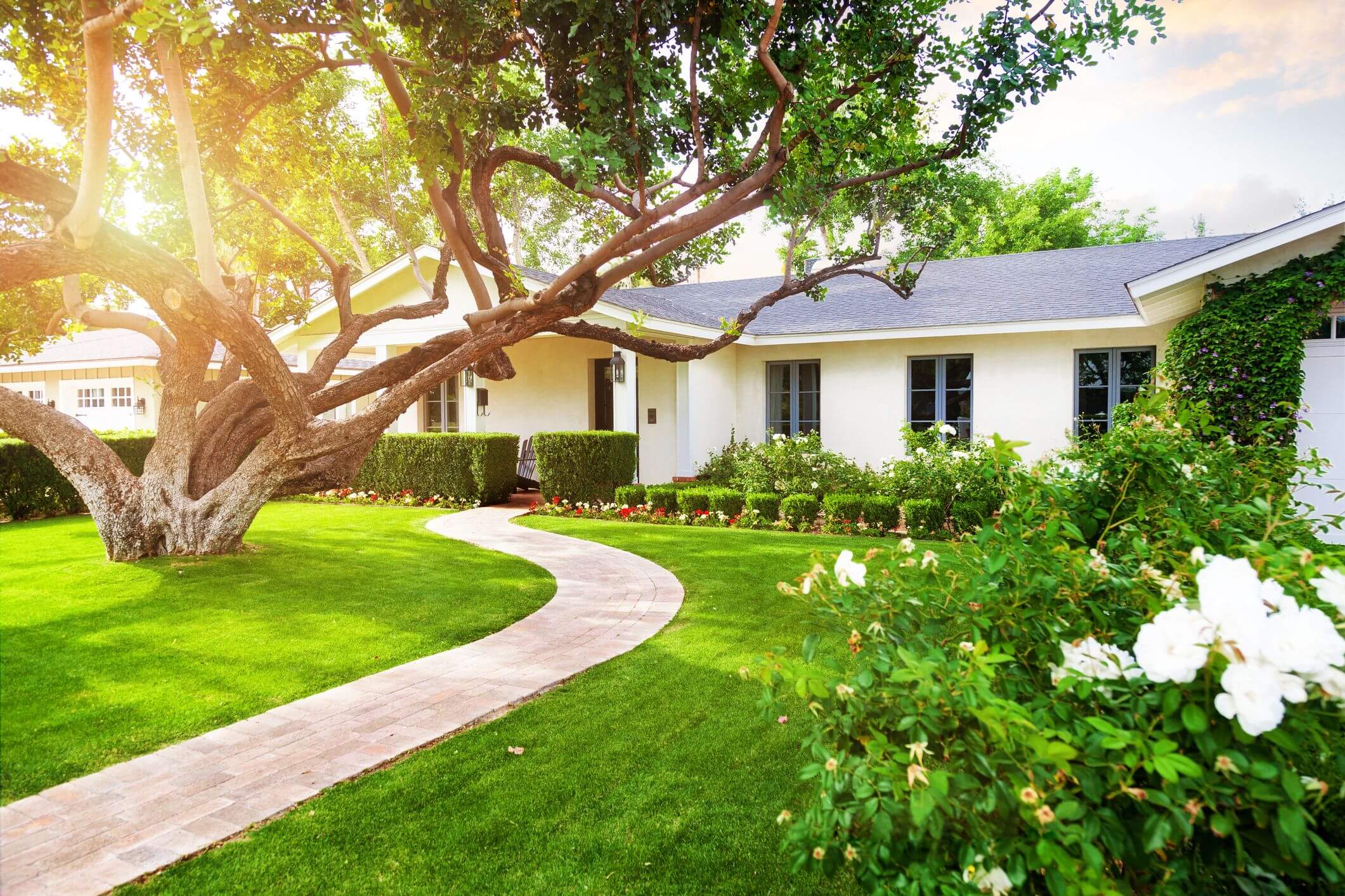 A white house with a tree in front of it
