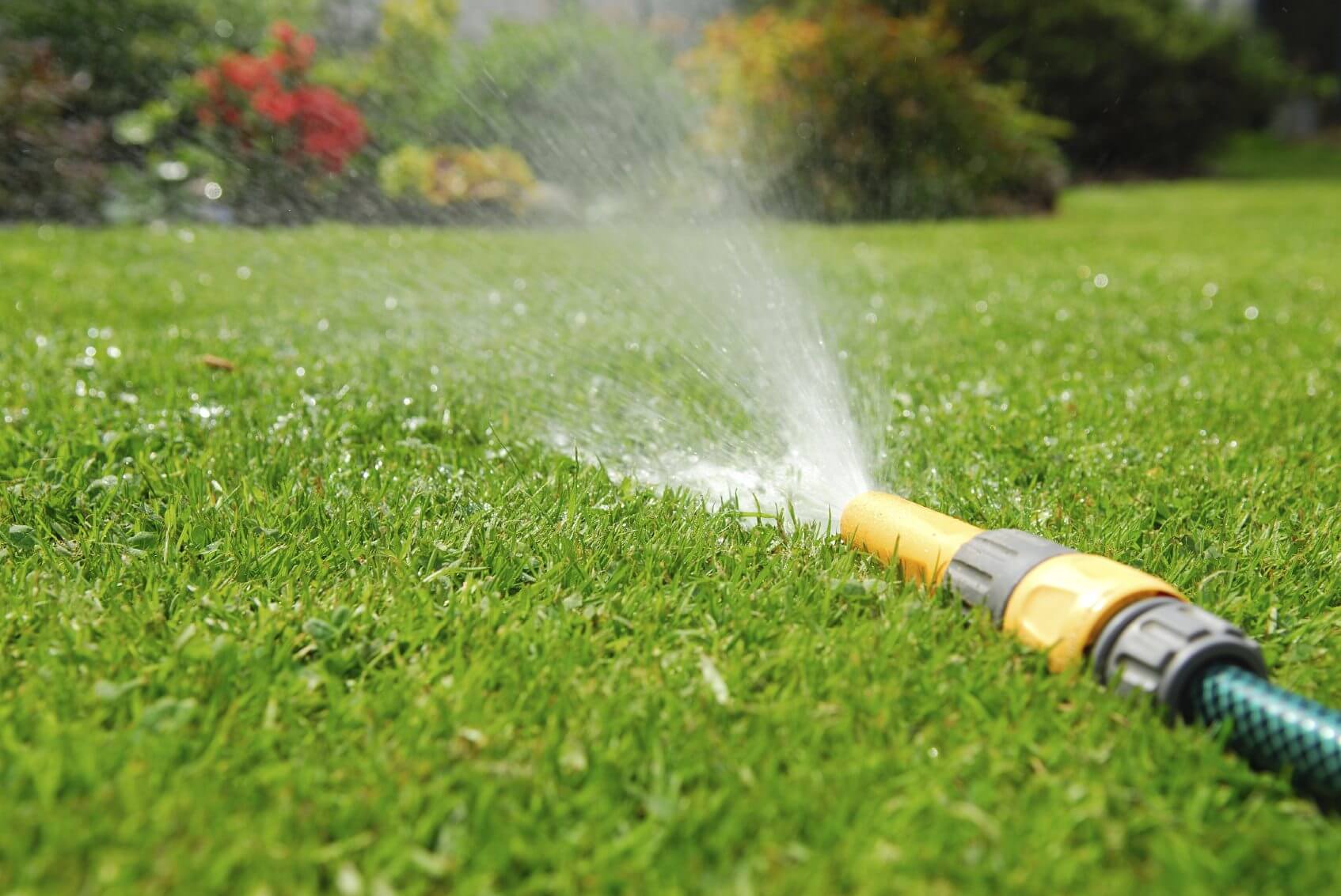 Watering The Lawn