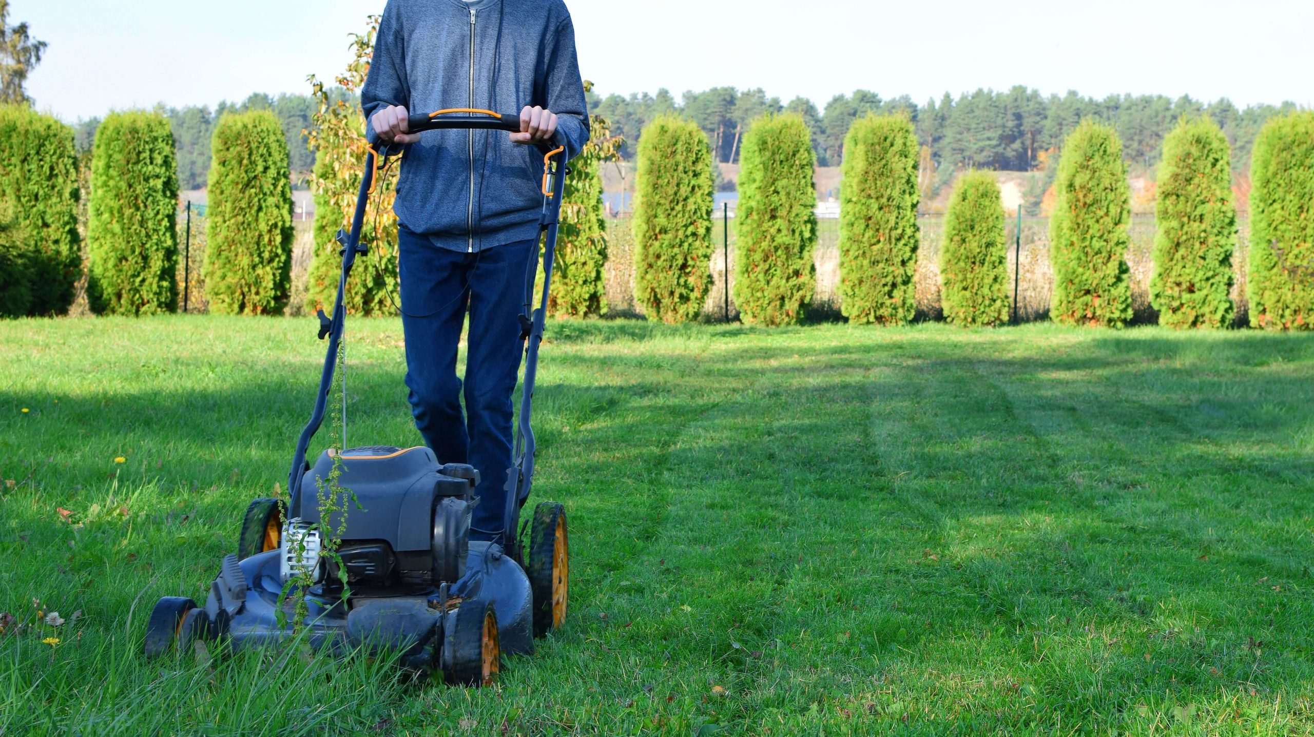 Trim Your Lawn