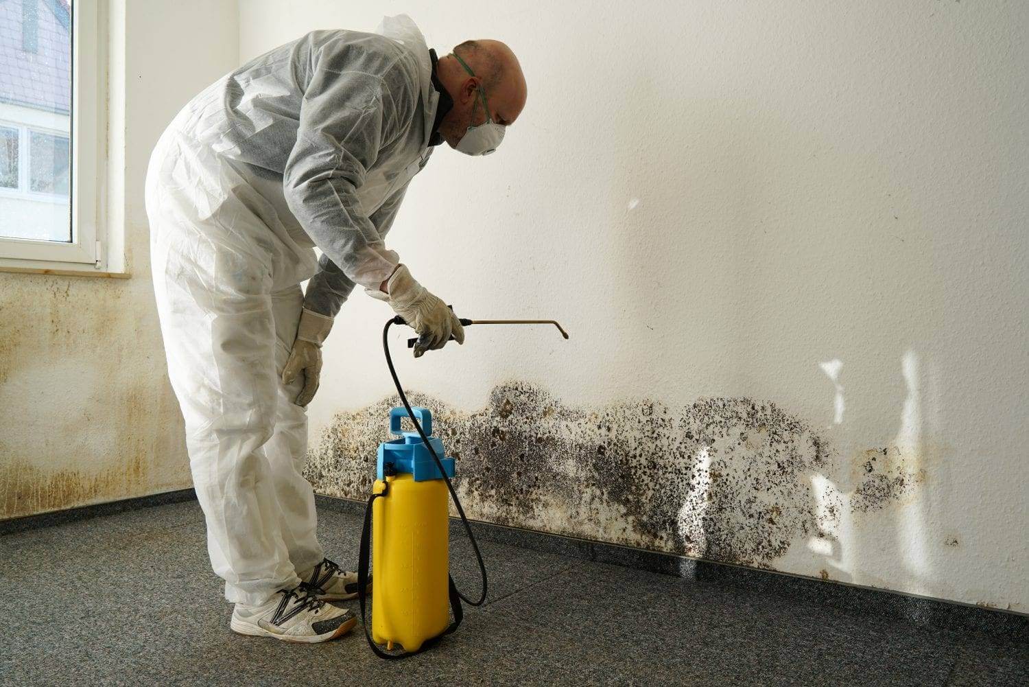 Home Mold Inspection