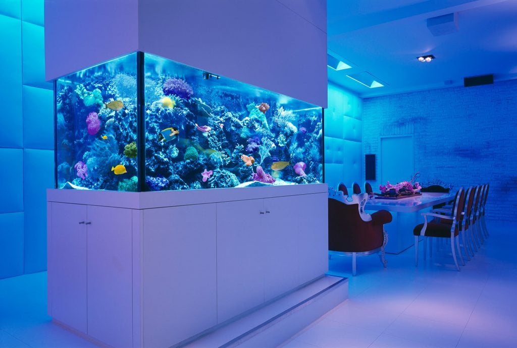 A room with a table and chairs and a fish tank
