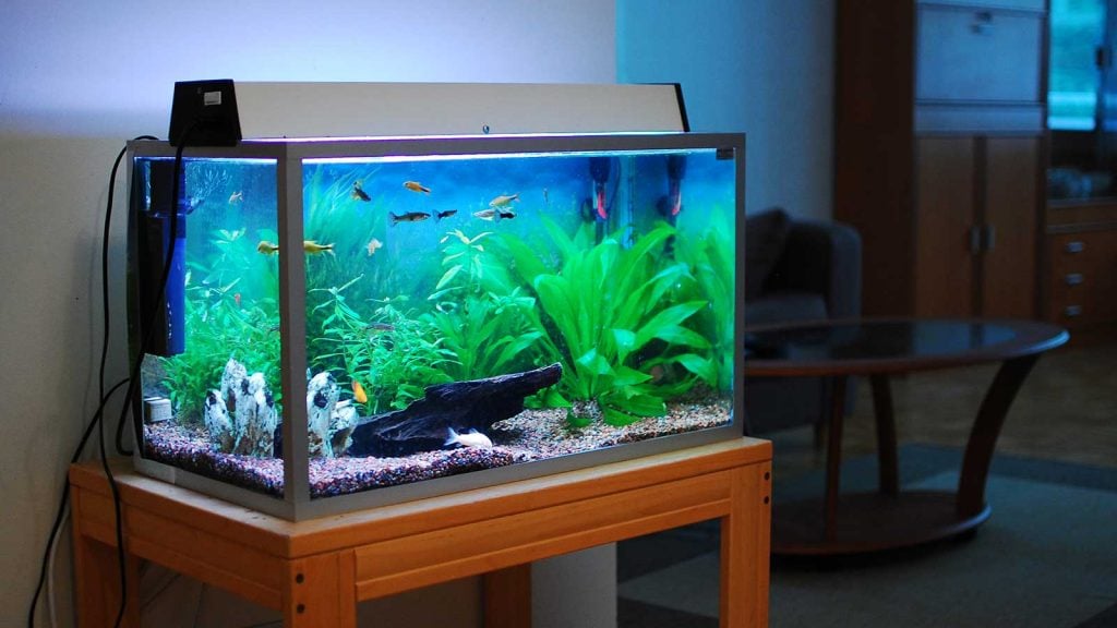 A fish tank sitting on top of a wooden table
