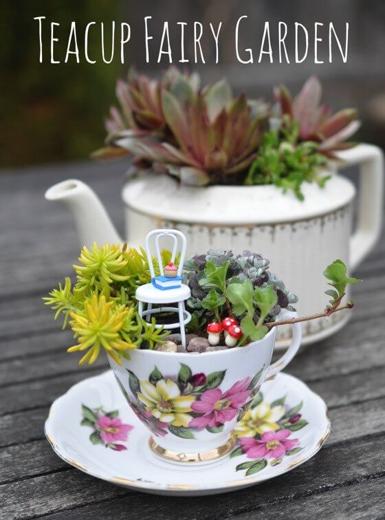 Cute Teacup Fairy Garden