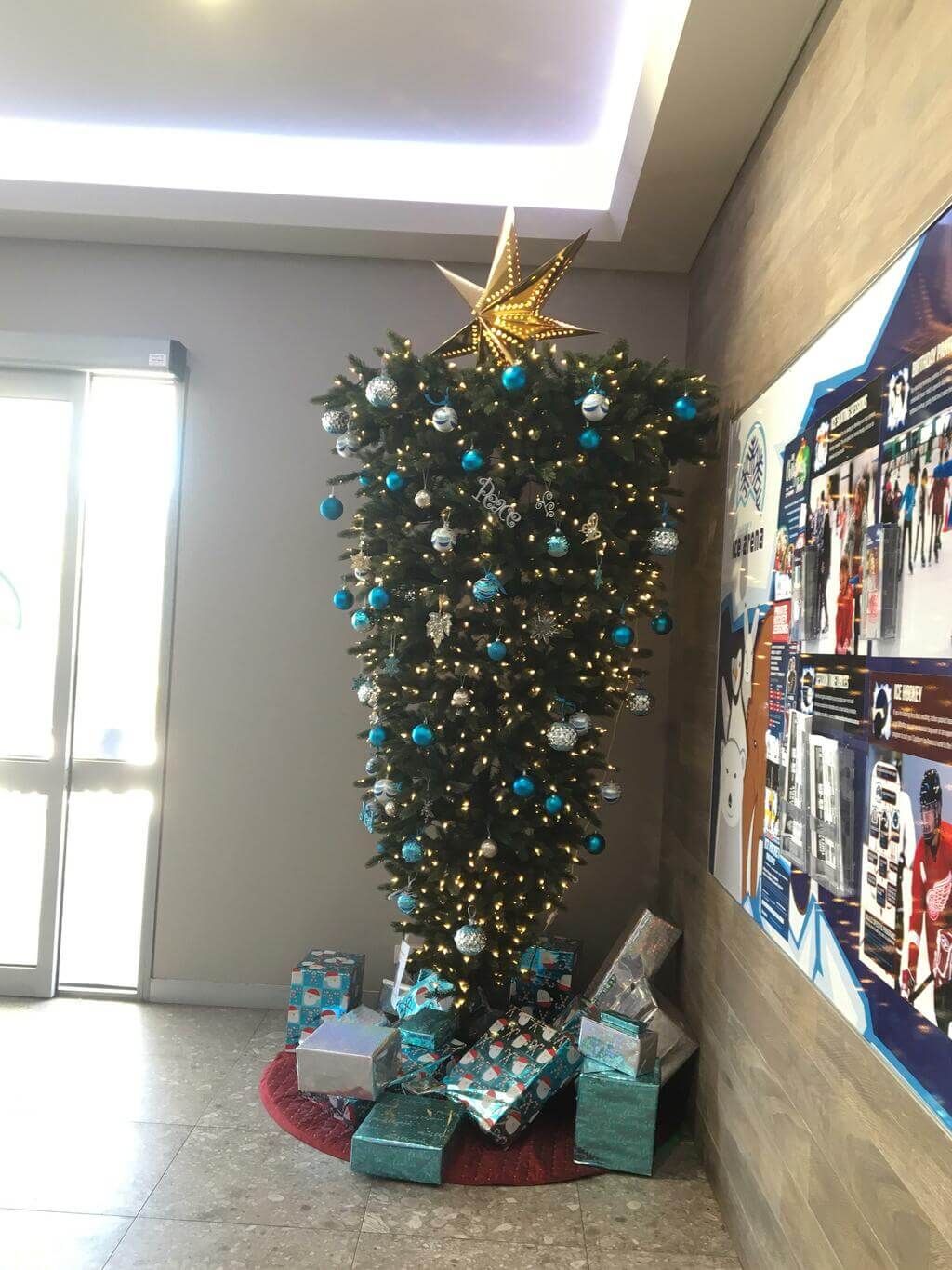 upside down tree 