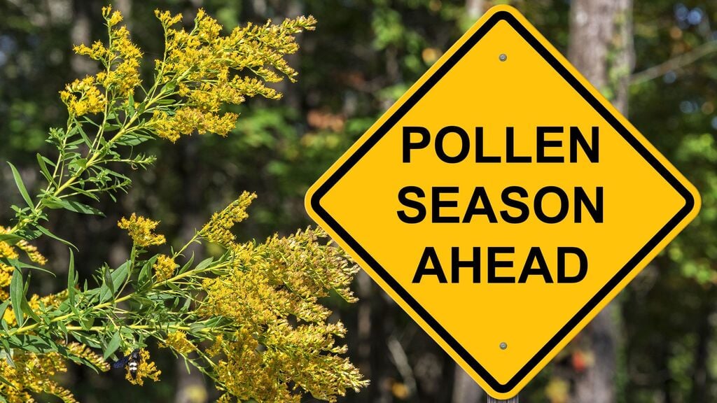 Houses-In-Myrtle-Beach : A yellow sign that says pollen season ahead
