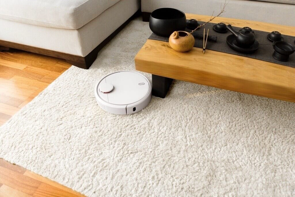 Robot Vacuum Cleaner in Living Space