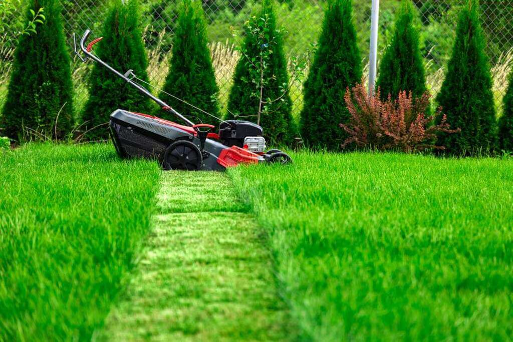 A lawn mower sitting on top of a lush green field
