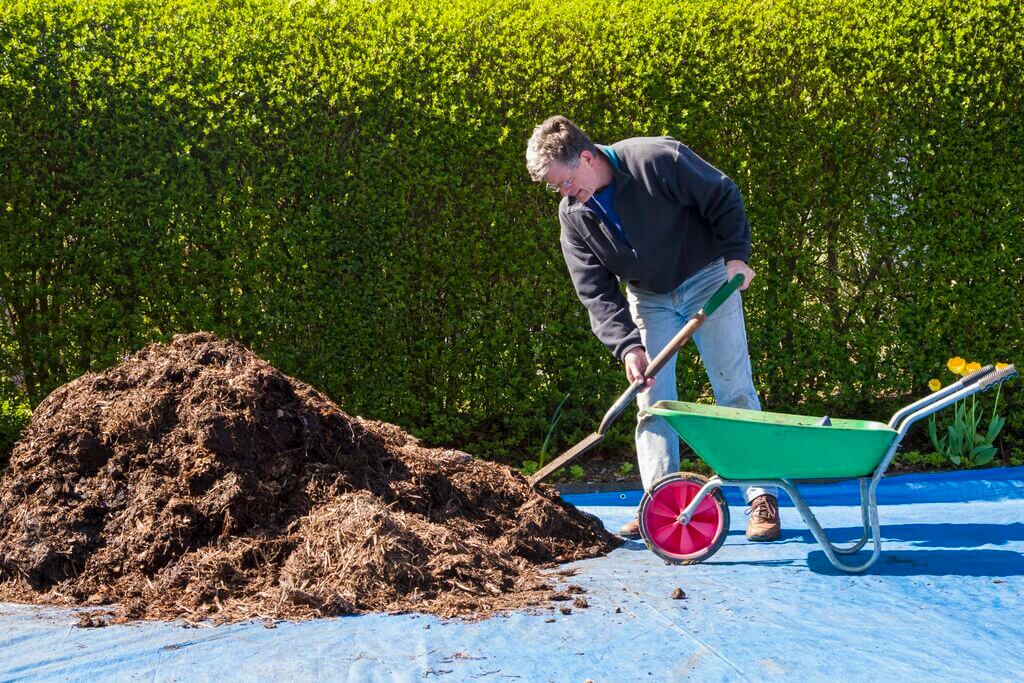 A man is shoveling dirt into a wheelbarrow
