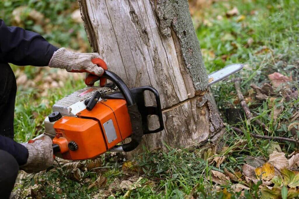 A man is cutting a tree with a chainsaw

