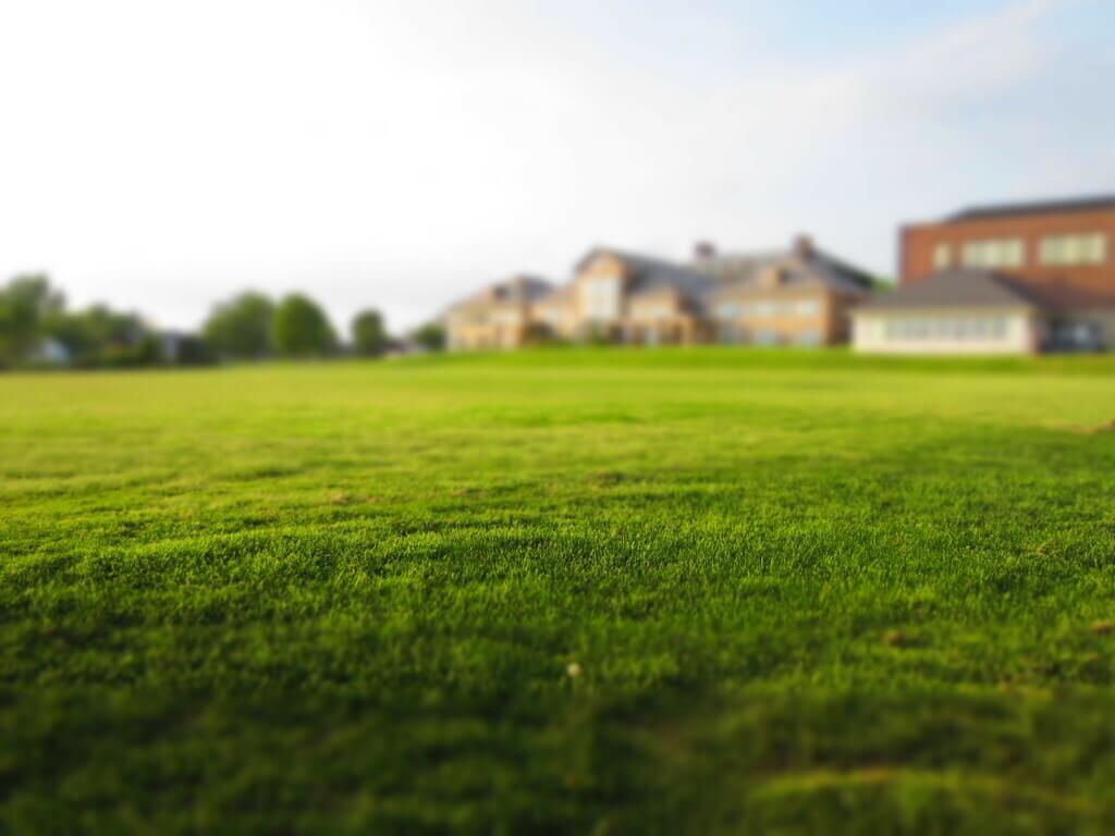Sloping Lawn