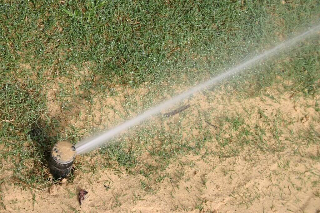 Watering Your Grass Seeds - How Long Does It Take for Grass to Grow 