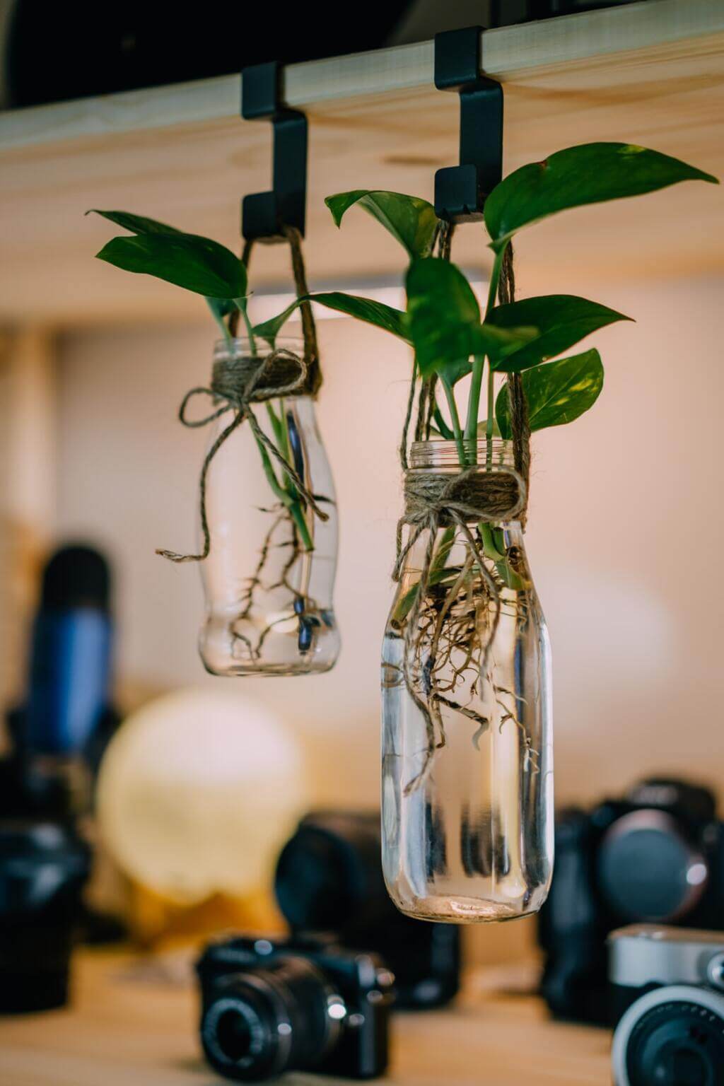  Hanging Jar Vases