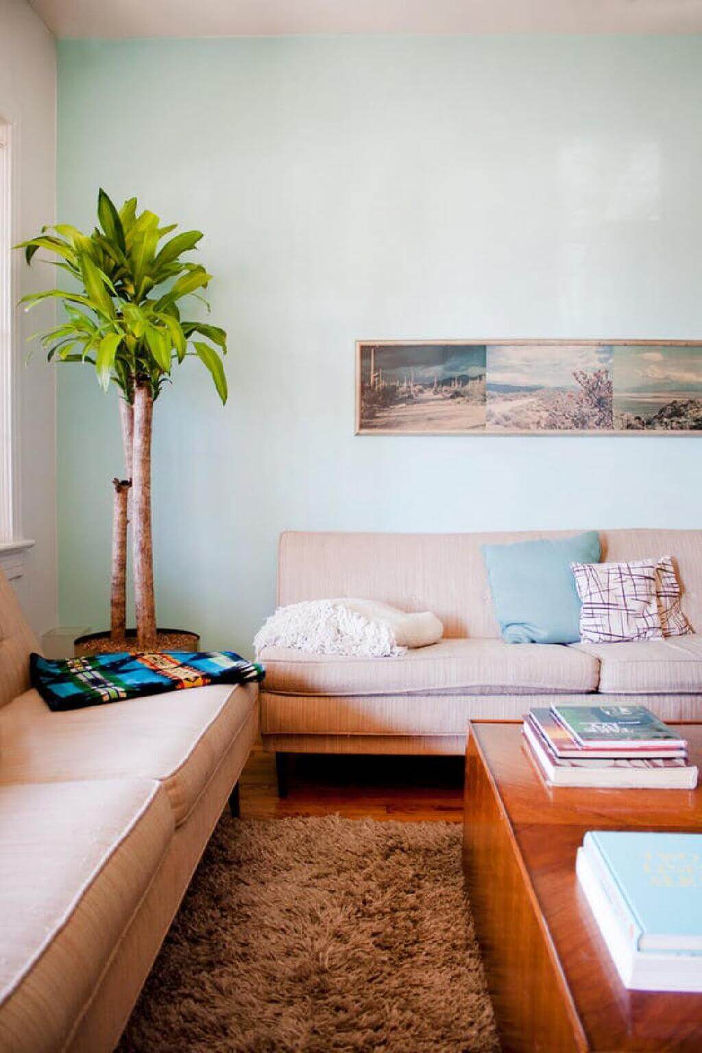 A living room with a couch, coffee table and a potted plant
