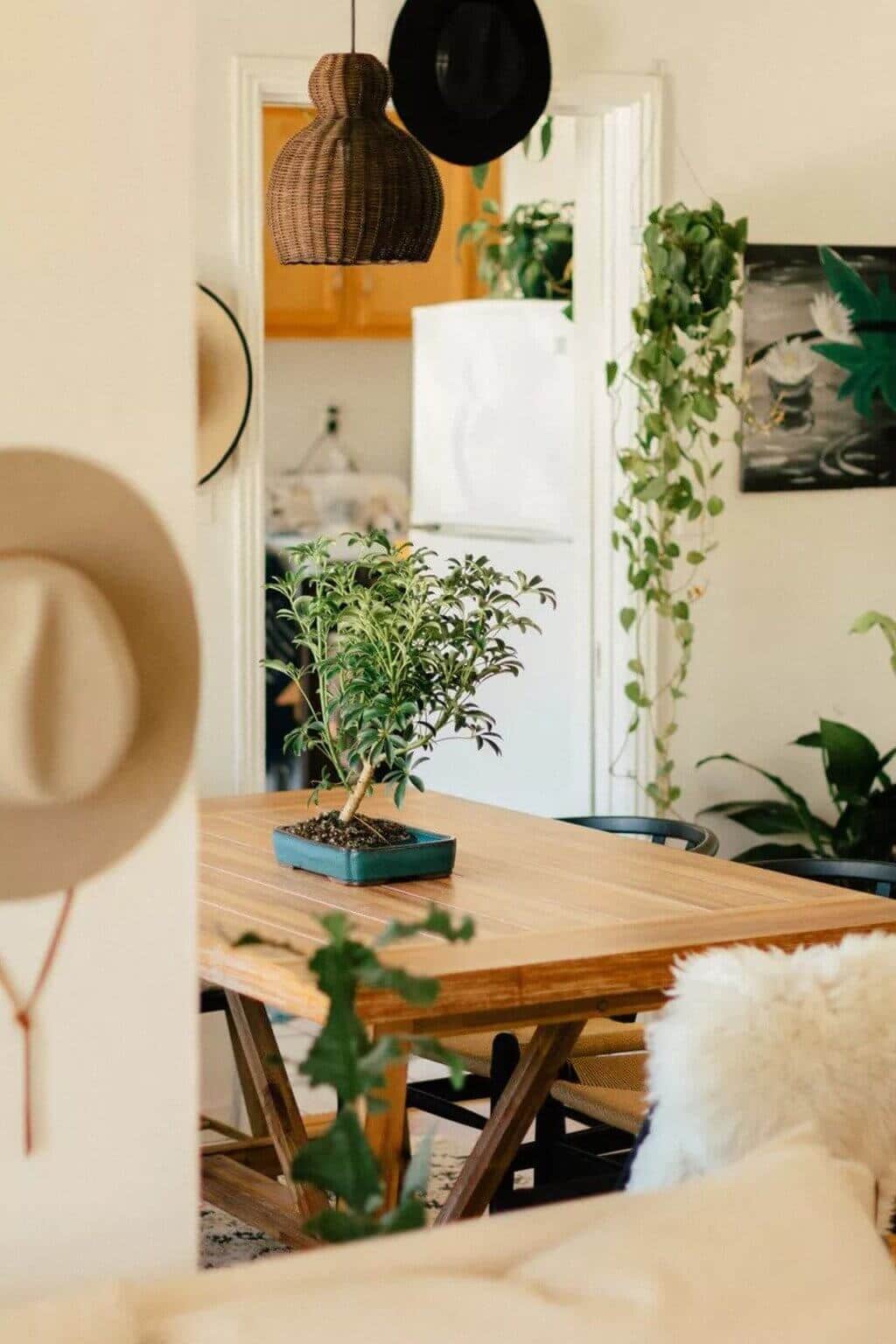 A living room with a wooden table surrounded by plants
