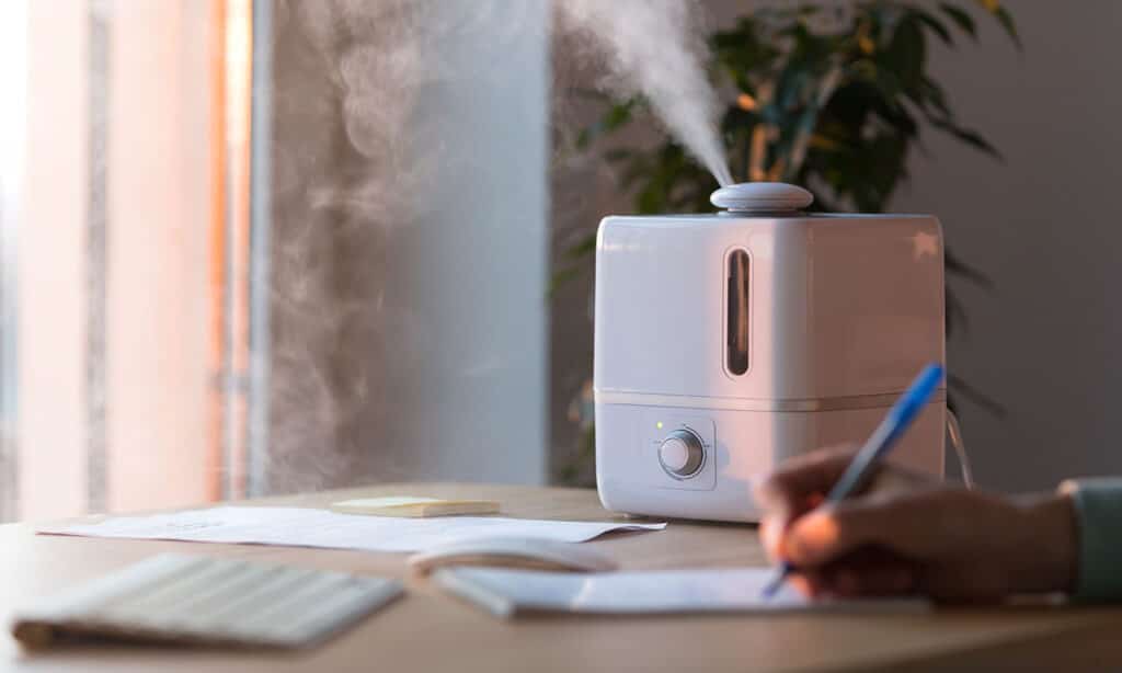 Benefits and Risks of Using a Humidifier