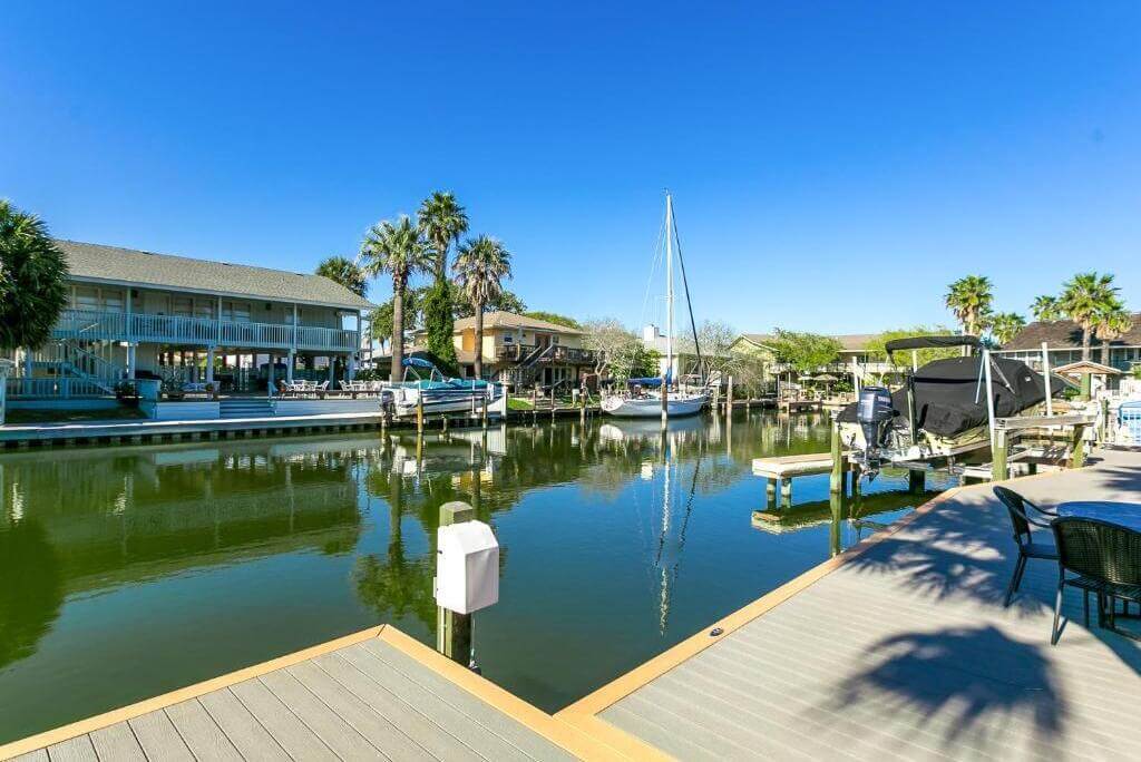 A dock with boats and palm trees in the background
