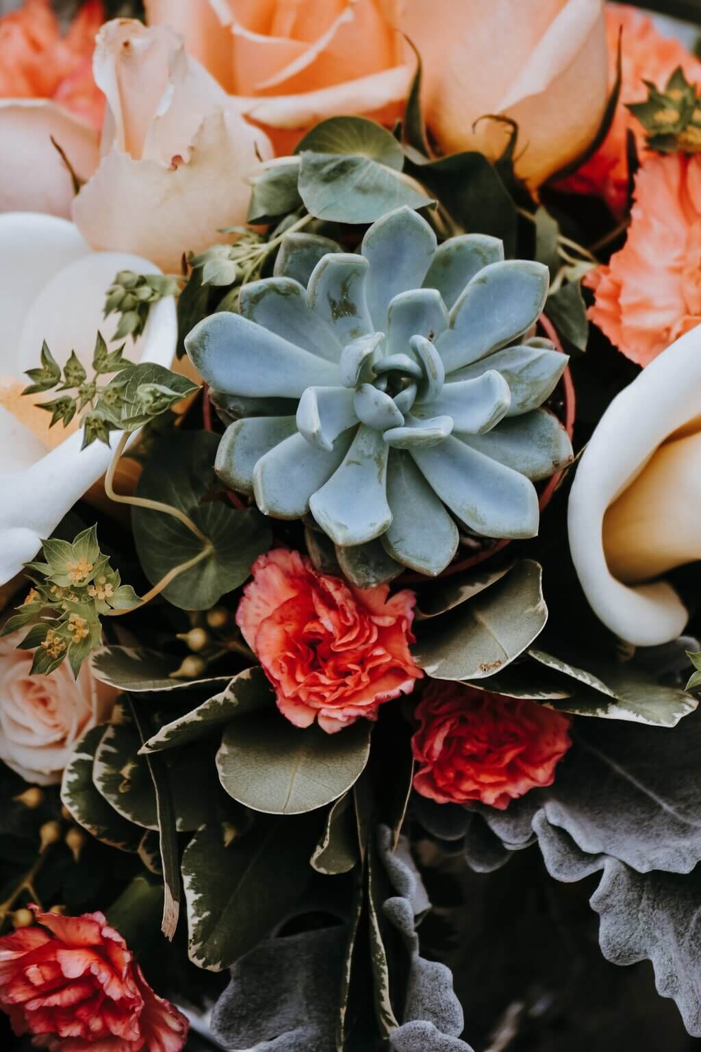  Flowers with Succulents  flower beds