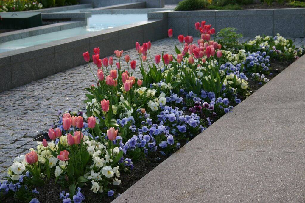 Traditional Rectangular Flower Beds flower beds ideas