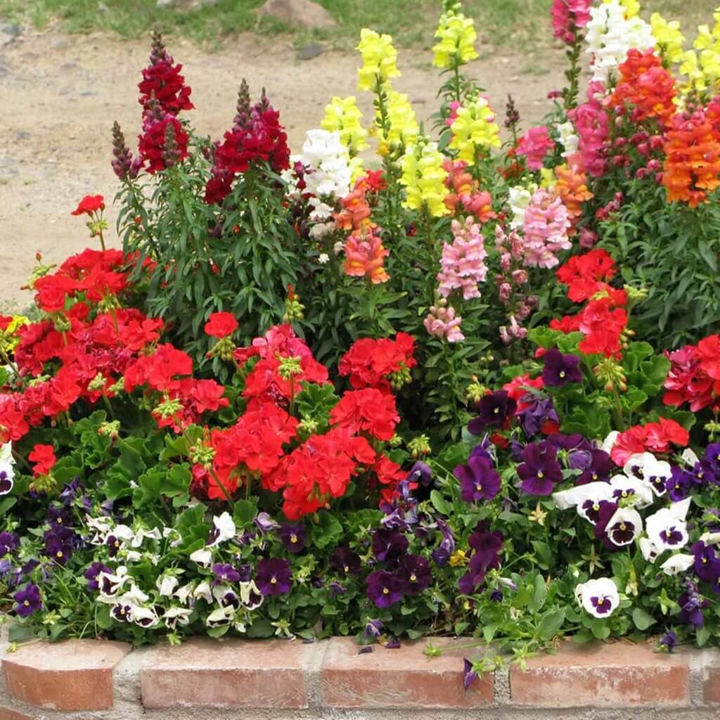 flower garden designs