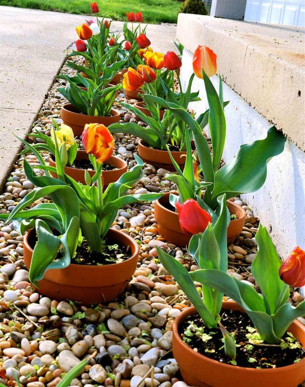 small flower garden ideas