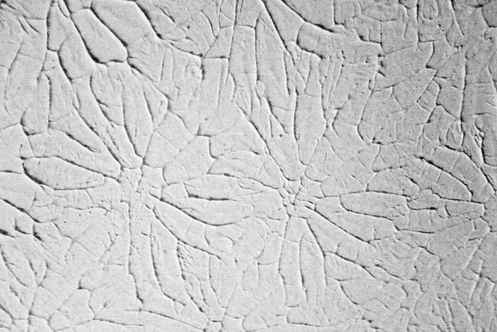  Rosebud Wall Textures wall texture types