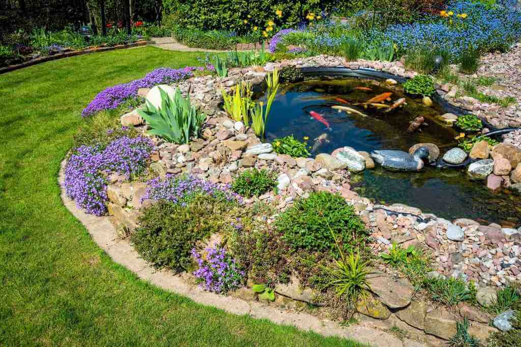 Having a Pond in Your Garden