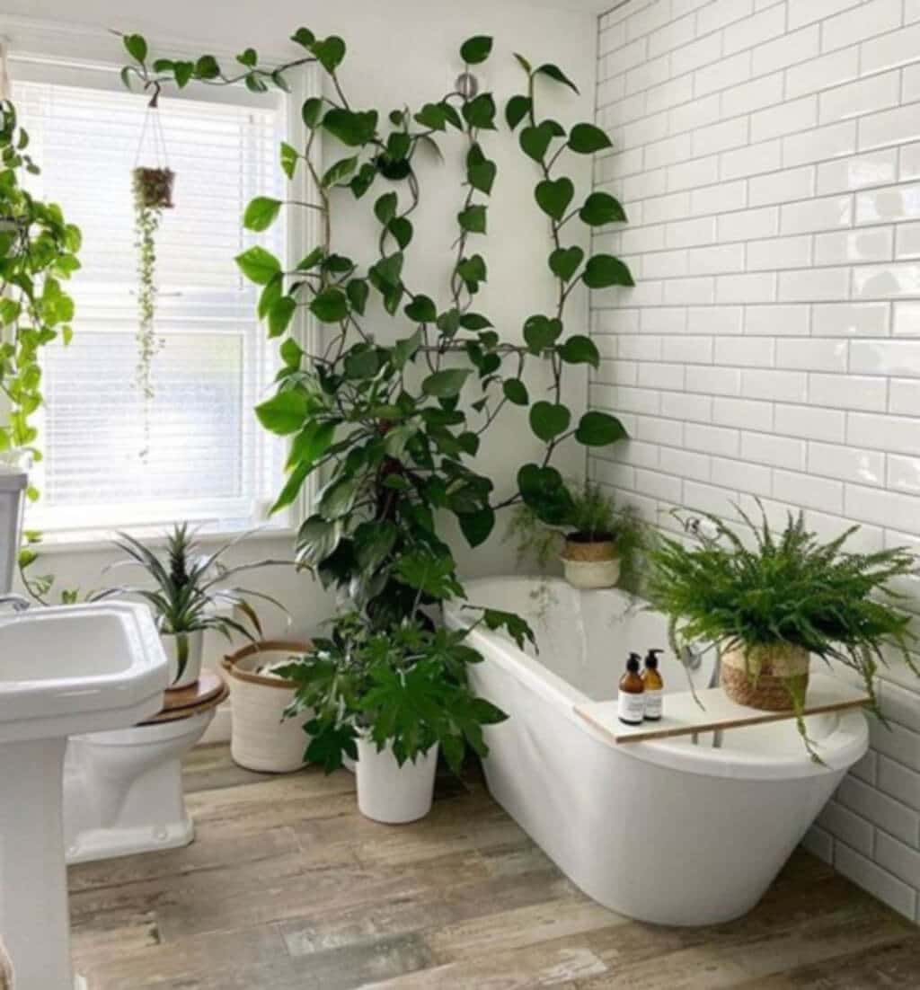 A bathroom with a tub, sink, and plants in it

