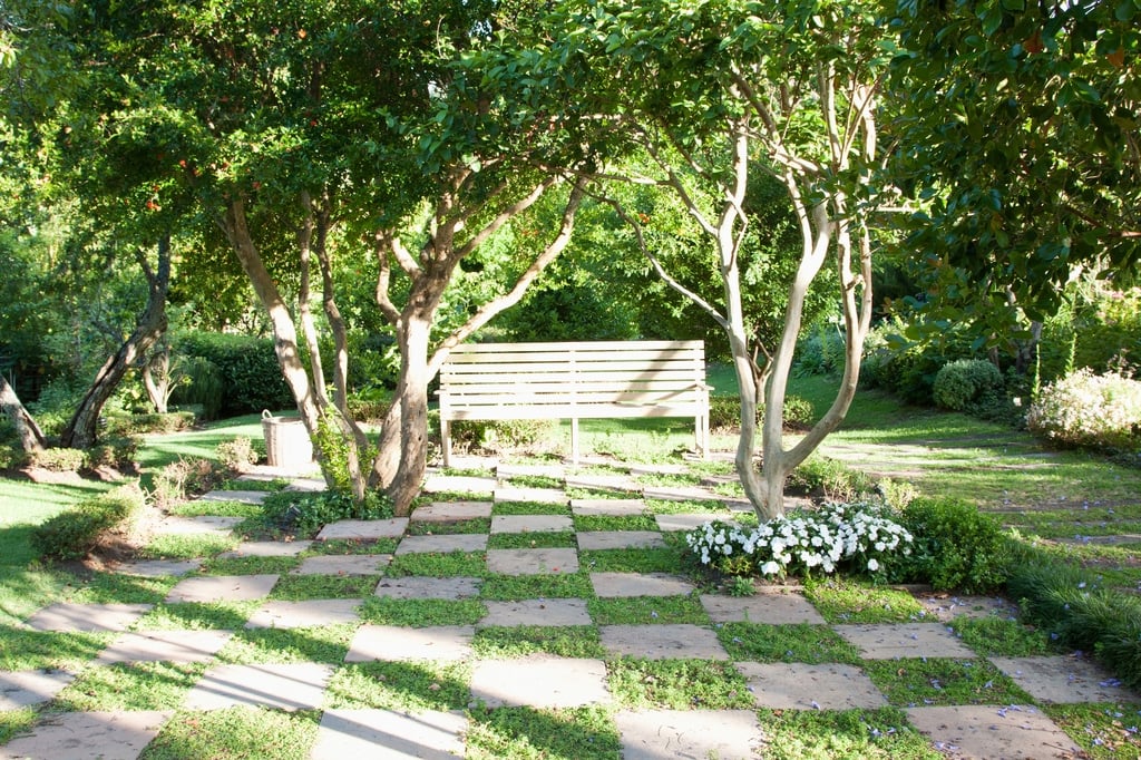 cheap simple front yard landscaping ideas