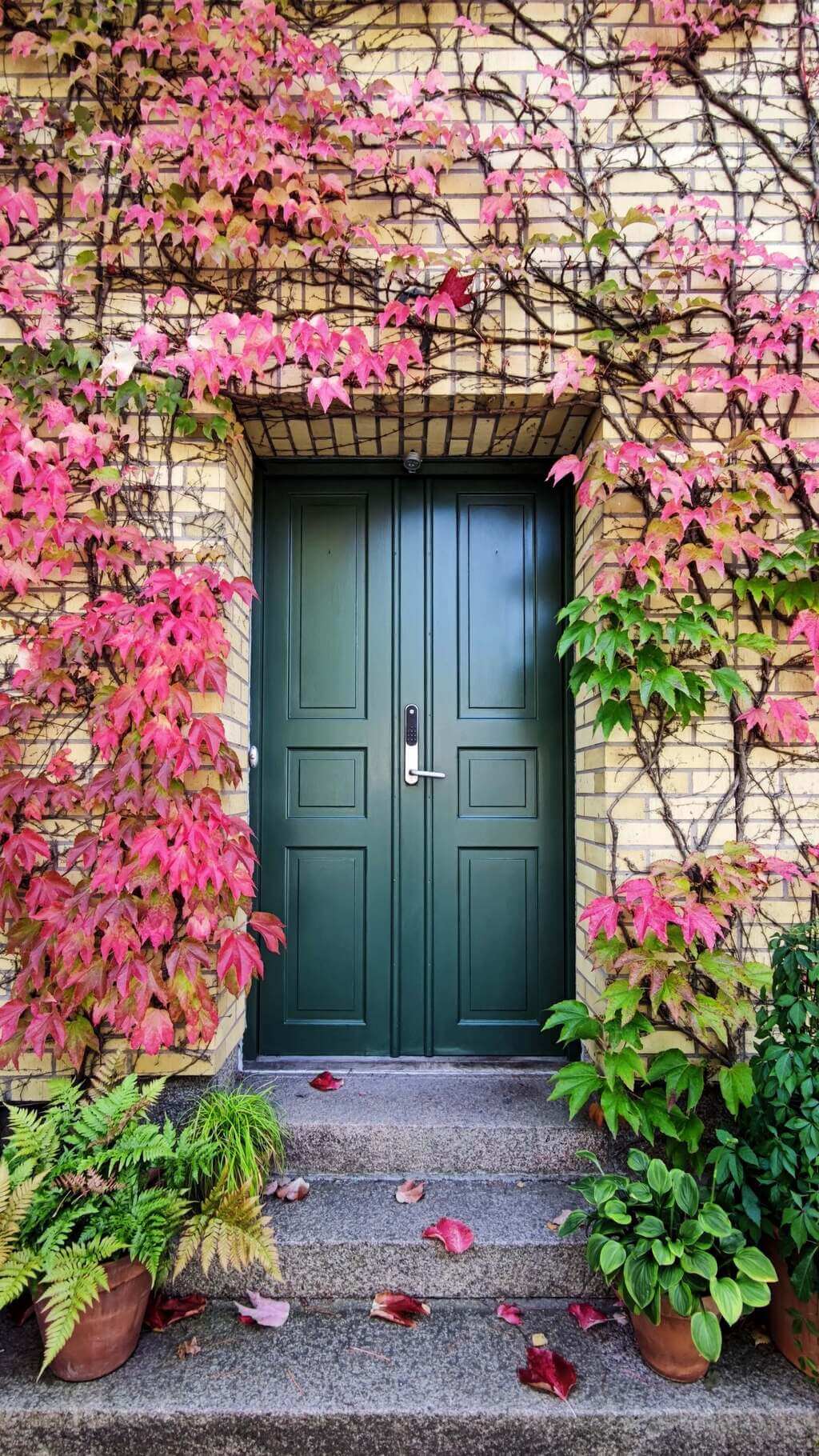The Inspirational Farmhouse Front Door