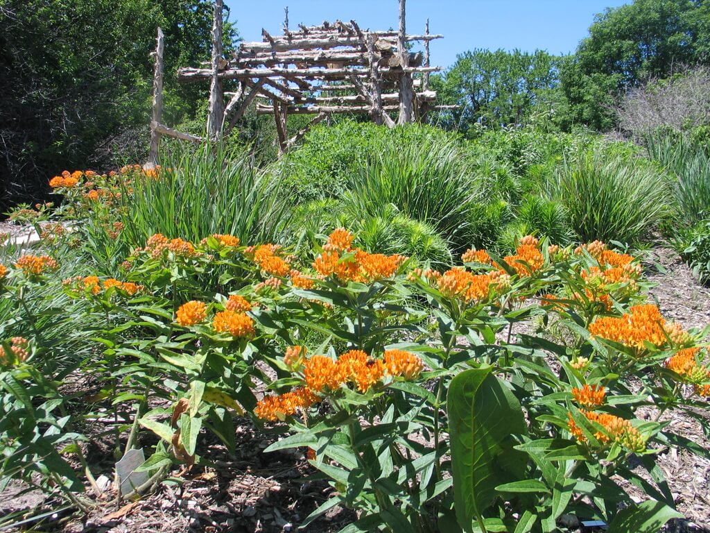 Enhancing Florida Districts with Native Planting 