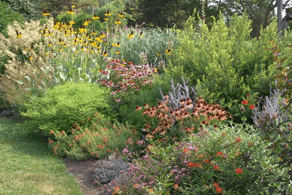 Enforcing Policies to Preserve Native Plants in Arizona