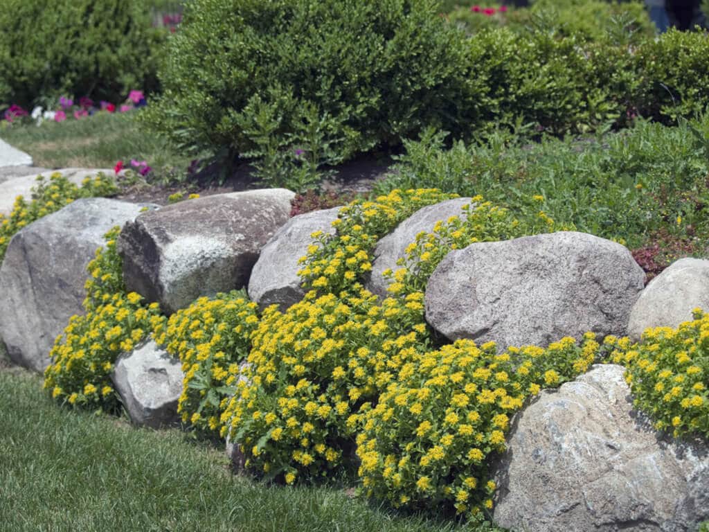 flower bed edging ideas