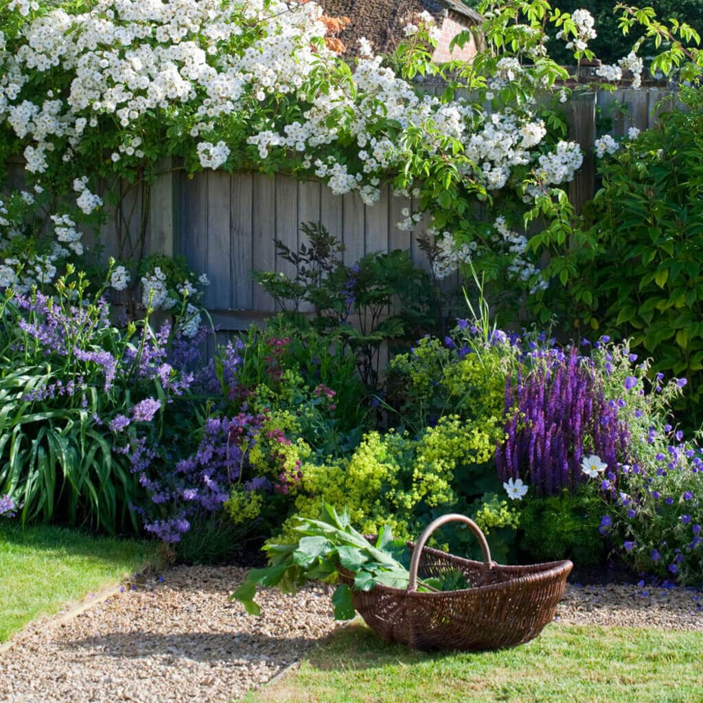 colourful garden edging ideas