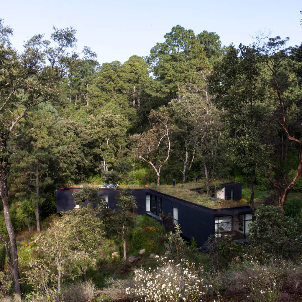 Eco Home Deep in Tropical Forest, Valle de Bravo, Mexico