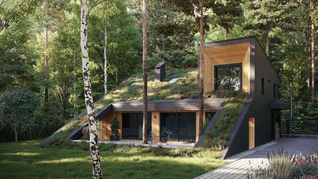 Eco House in the Forest, Moscow, Russia