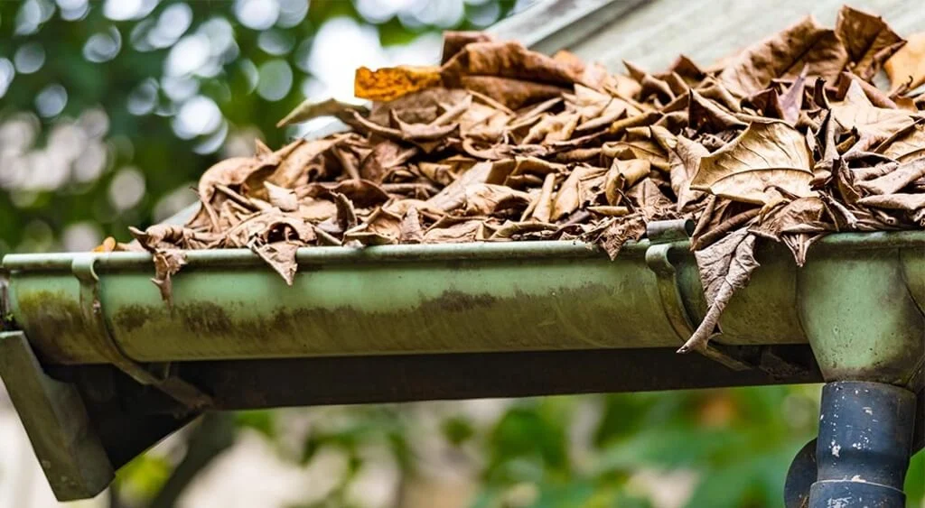 Clogged Gutters Causes of Roof Damage