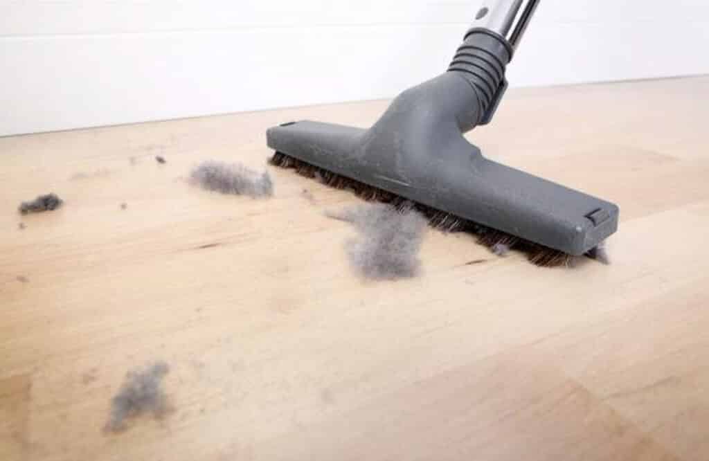 Sudden Increase of Dust in Your Home